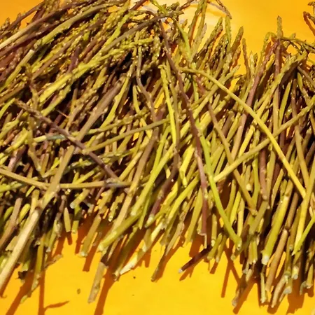 Castello Di شقة Lafki